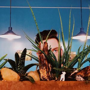 Meet your Posher, Ian